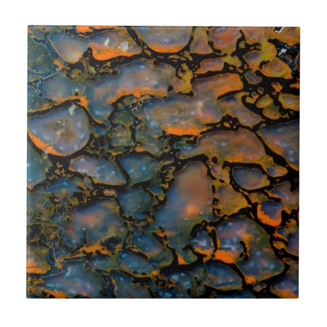 Orange Petrifierat dinosaurieben Kakelplatta (Framsidan)