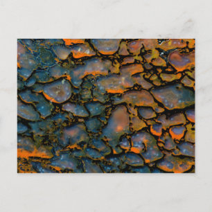 Orange Petrifierat dinosaurieben Vykort