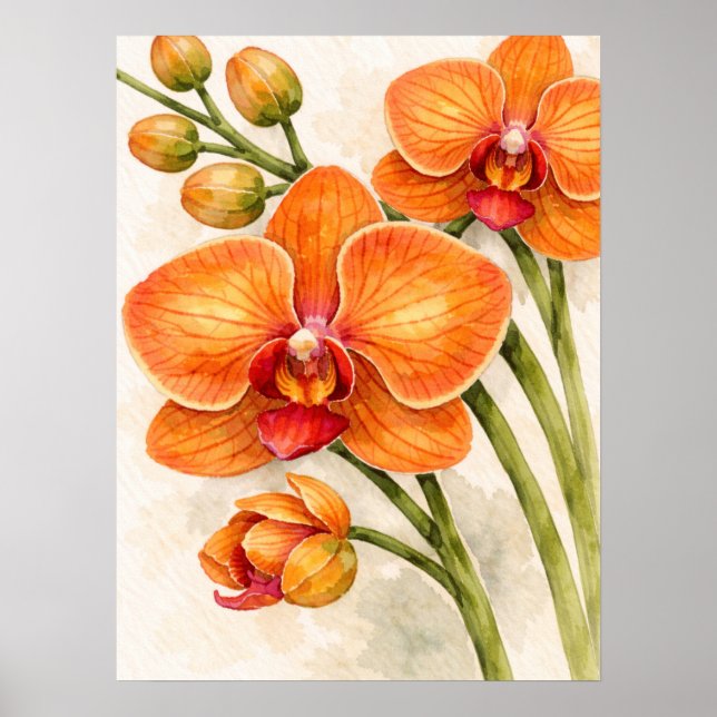 Orange Phalaenopsis-Orkidé Botanisk Akvarell Poster (Framsidan)