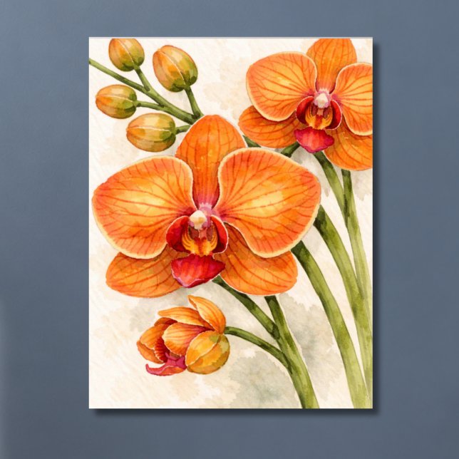 Orange Phalaenopsis Orkidé Botanisk Poster (Skapare uppladdad)