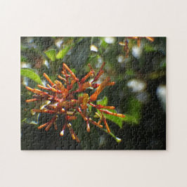 Orange Plant Puzzle Pussel