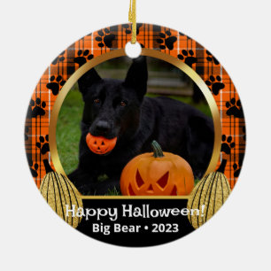 Orange Play Fall Photo Anpassningsbar Pet Ornament