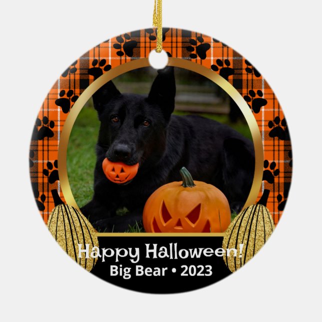 Orange Play Fall Photo Anpassningsbar Pet Ornament (Baksidan)