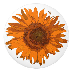 Orange Pop Art Solros Knopp