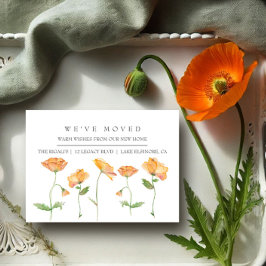 Orange Poppies Nytt meddelande om Flytta hemma