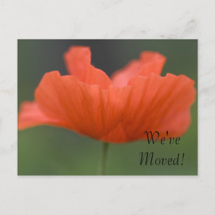 Orange Poppy Change of Adress Meddelande Vykort