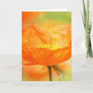Orange Poppy Kort