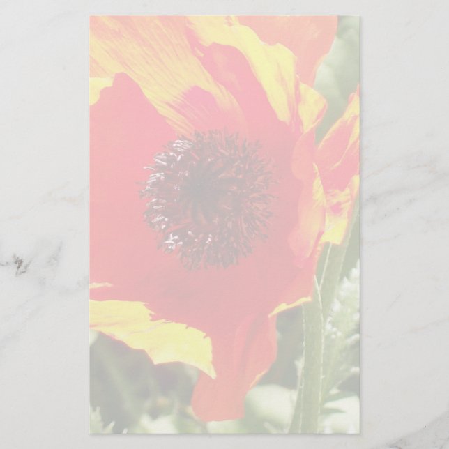 Orange Poppy Stationery Brevpapper (Framsida)