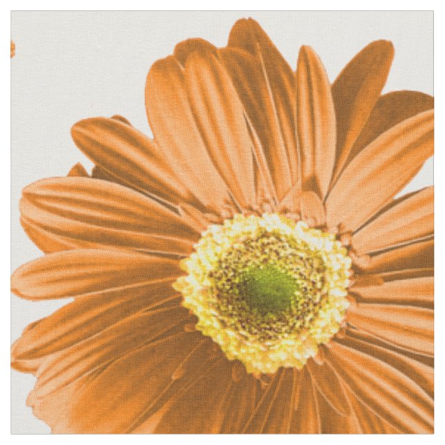 Orange-popup-Daisyn Mönster Tyg (Närbild)