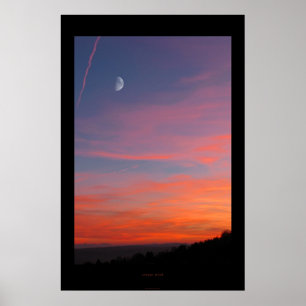 orange poster
