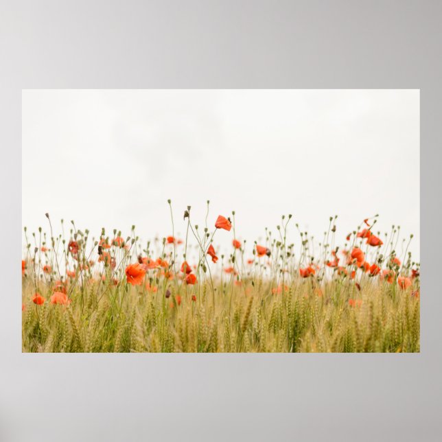 ORANGE POSTER (Framsidan)