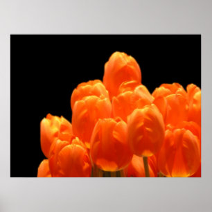 Orange Poster