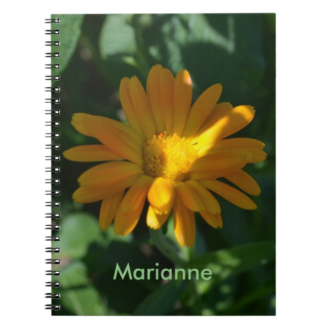 Orange Pot Marigold Flower Personlig Anteckningsbok (Framsidan)