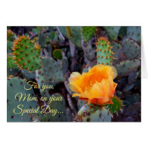 Orange Prickly Pear Cactus Blommar Mors dag