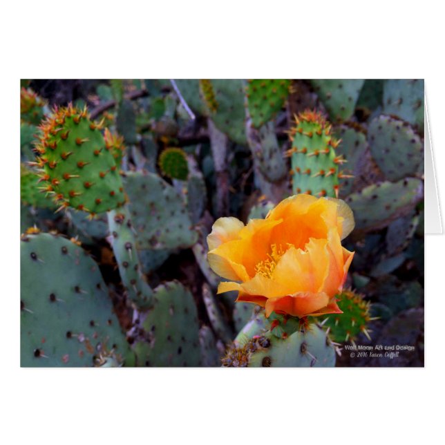 Orange Prickly Pear Cactus Flower-Blommar Hälsningskort (Framsidan Horizontal)