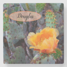 Orange Prickly Pear Opuntia Cactus Flower Photo