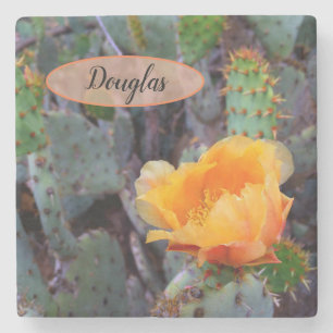 Orange Prickly Pear Opuntia Cactus Flower Photo Stenunderlägg