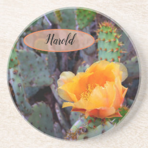 Orange Prickly Pear Opuntia Cactus Flower Photo Underlägg