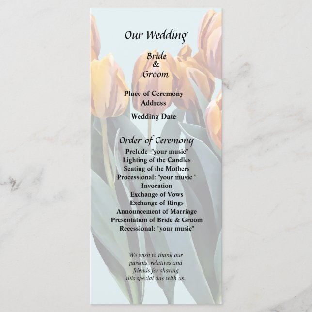 Orange Program (Framsida)