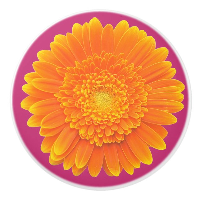 orange prydnadsknapp knopp (Framsidan)