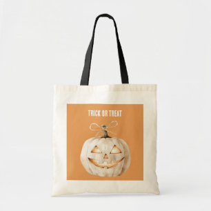 Orange Pumpa Ben Tygkasse
