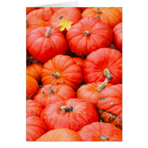 Orange pumpa på marknad, Tyskland Hälsningskort