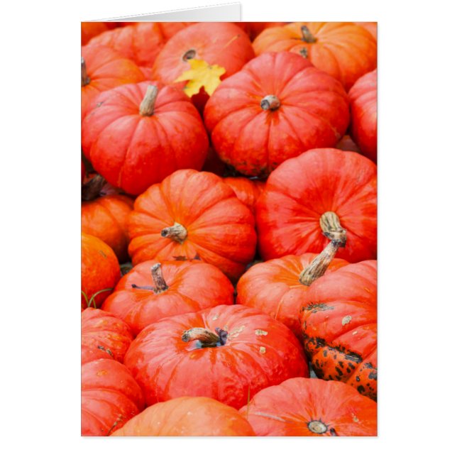 Orange pumpa på marknad, Tyskland Hälsningskort (Framsidan)