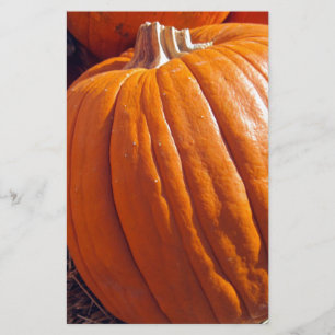 Orange Pumpkin Brevpapper
