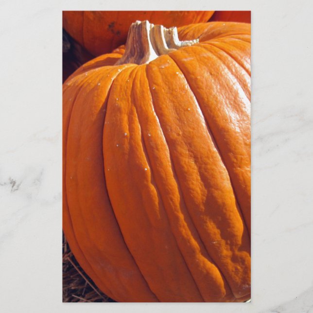 Orange Pumpkin Brevpapper (Framsida)