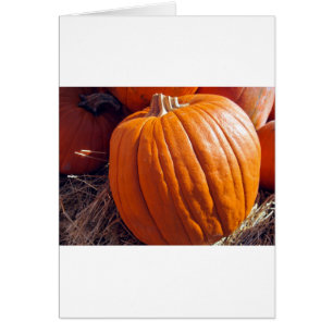 Orange Pumpkin Hälsningskort
