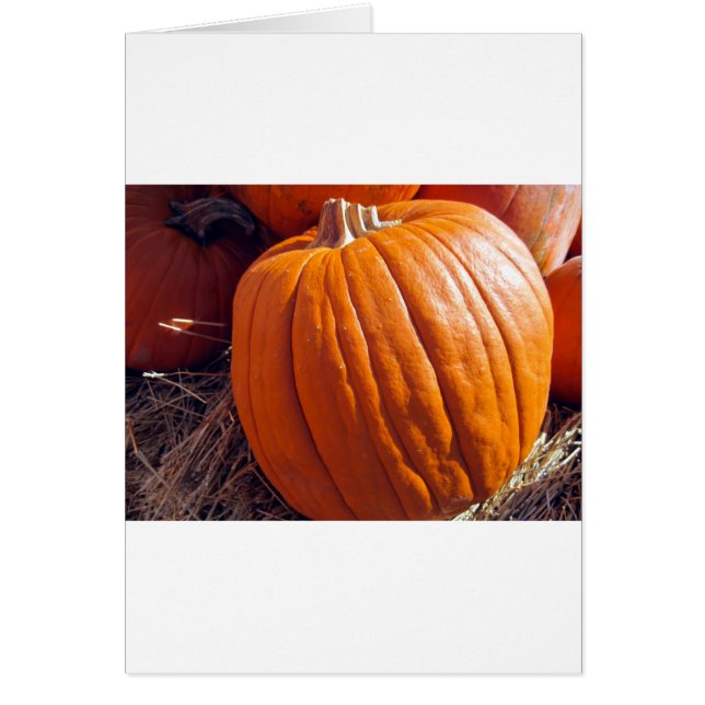 Orange Pumpkin Hälsningskort (Framsidan)