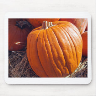 Orange Pumpkin Musmatta