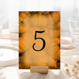 Orange Pumpkins Fall Wedding Bordsnummers Bordsnummer
