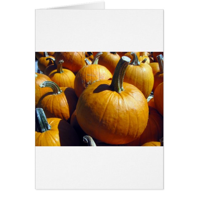 Orange Pumpkins Hälsningskort (Framsidan)