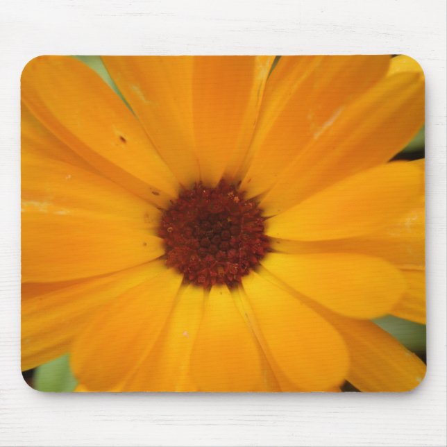 Orange Rain Daisy Mousepad Musmatta (Framsidan)