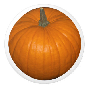 Orange Realistic Fall Halloween Pumpkin Food Photo Knopp