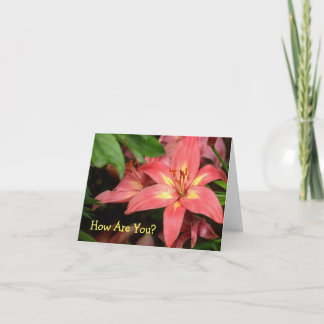 "ORANGE RED AND GULT DAY LILY" KORT