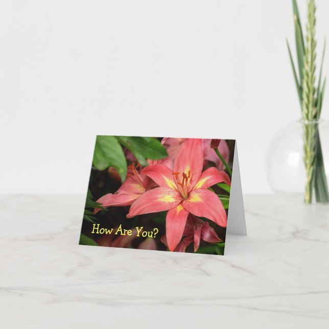 "ORANGE RED AND GULT DAY LILY" KORT (Framsida)