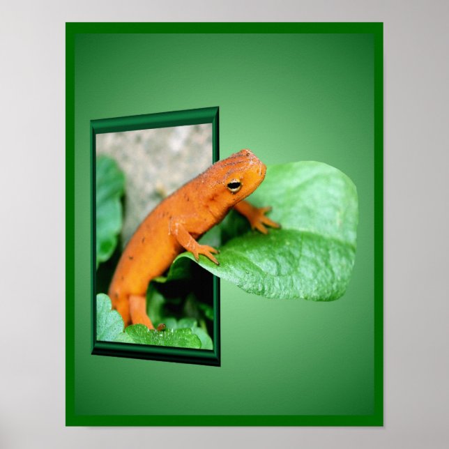 Orange Red Eft Salamander utanför Ram Art Poster (Framsidan)