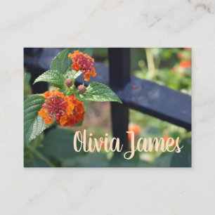 Orange Red Lantana Garden Flower Nature Photo Visitkort