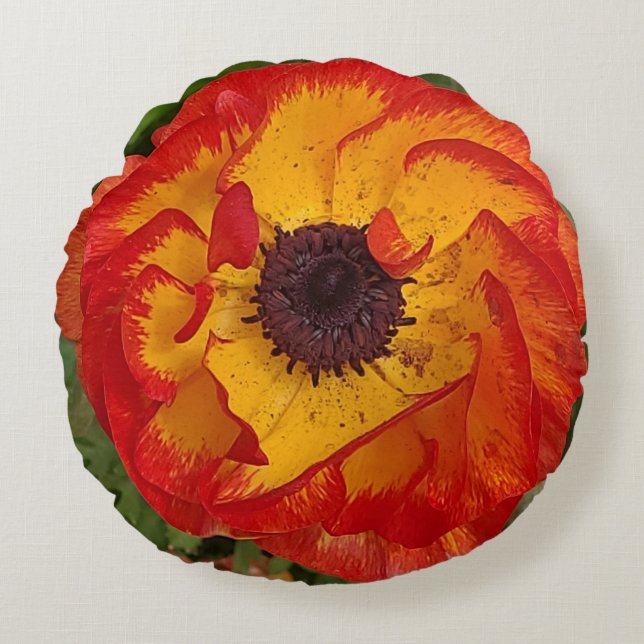 Orange Red Poppy Photo Rund Kudde (Framsidan)