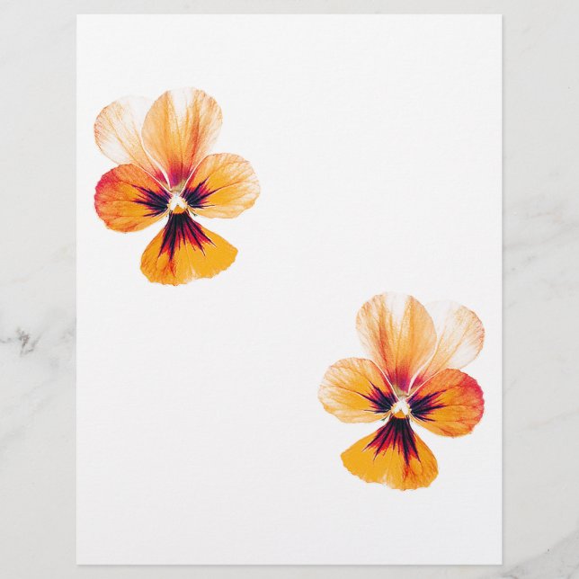 orange reklamblad (Framsidan)