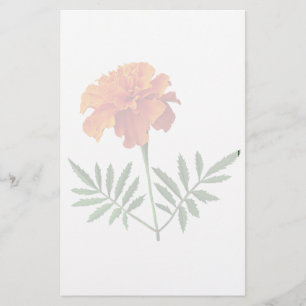 Orange ringblomma brevpapper