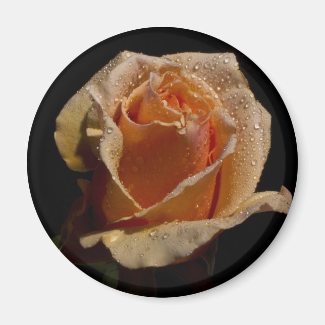 ORANGE RO 1 MAGNET (Framsidan)