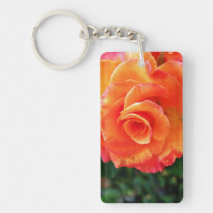 Orange ro blomma