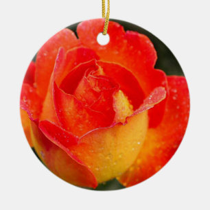 Orange Ro Blommigt Julgransprydnad Keramik