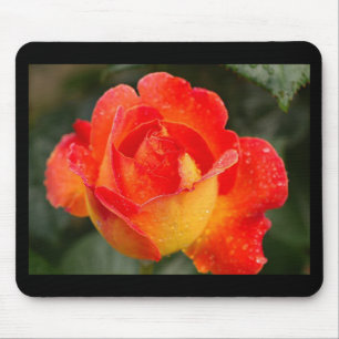 Orange Ro Blommigt Musmatta