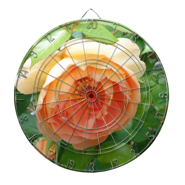 Orange  Ro Darttavla (Framsidan)