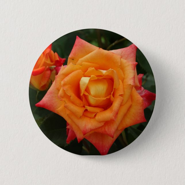 Orange Ro Flower Photo Round Badge Knapp (Framsida)