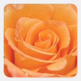 Orange Ro Fyrkantigt Klistermärke